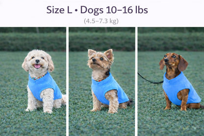 JACKO & CO Dog Fleece Vest Sweater with Leash Ring, Blue L (Dogs 10-16 lbs) 🍁 All In One Marketplace Canada