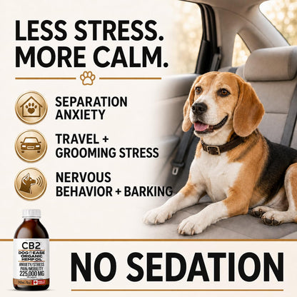 CB2 Hemp Oil for Dogs [225,000mg / 240mL / Organic] - Natural Hip and Joint Supplement for Dogs - Calming Anxiety Relief - Extra Strength for Pain, Inflammation, Arthritis, Stress, Aggression