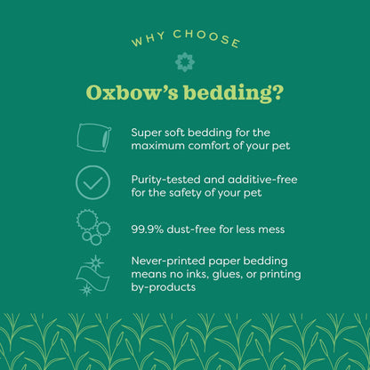 Oxbow 1082030820 Pure Comfort Bedding, White, 42 lt (448028) OXBOW