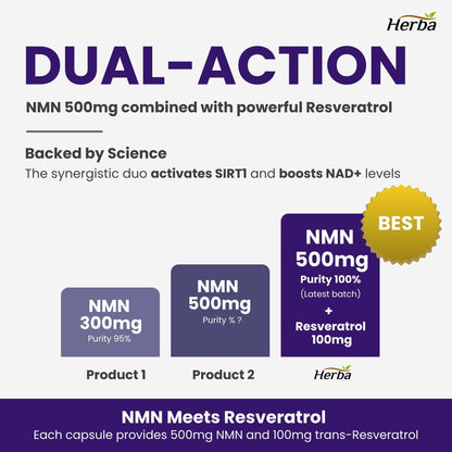 Herba NMN Supplement with Resveratrol – 500mg + 100mg | 100% Purity β-NMN & >99% Resveratrol | NAD Supplement Canada Made | NAD+ Precursor | 30 Capsules - Available at All In One Marketplace Canada