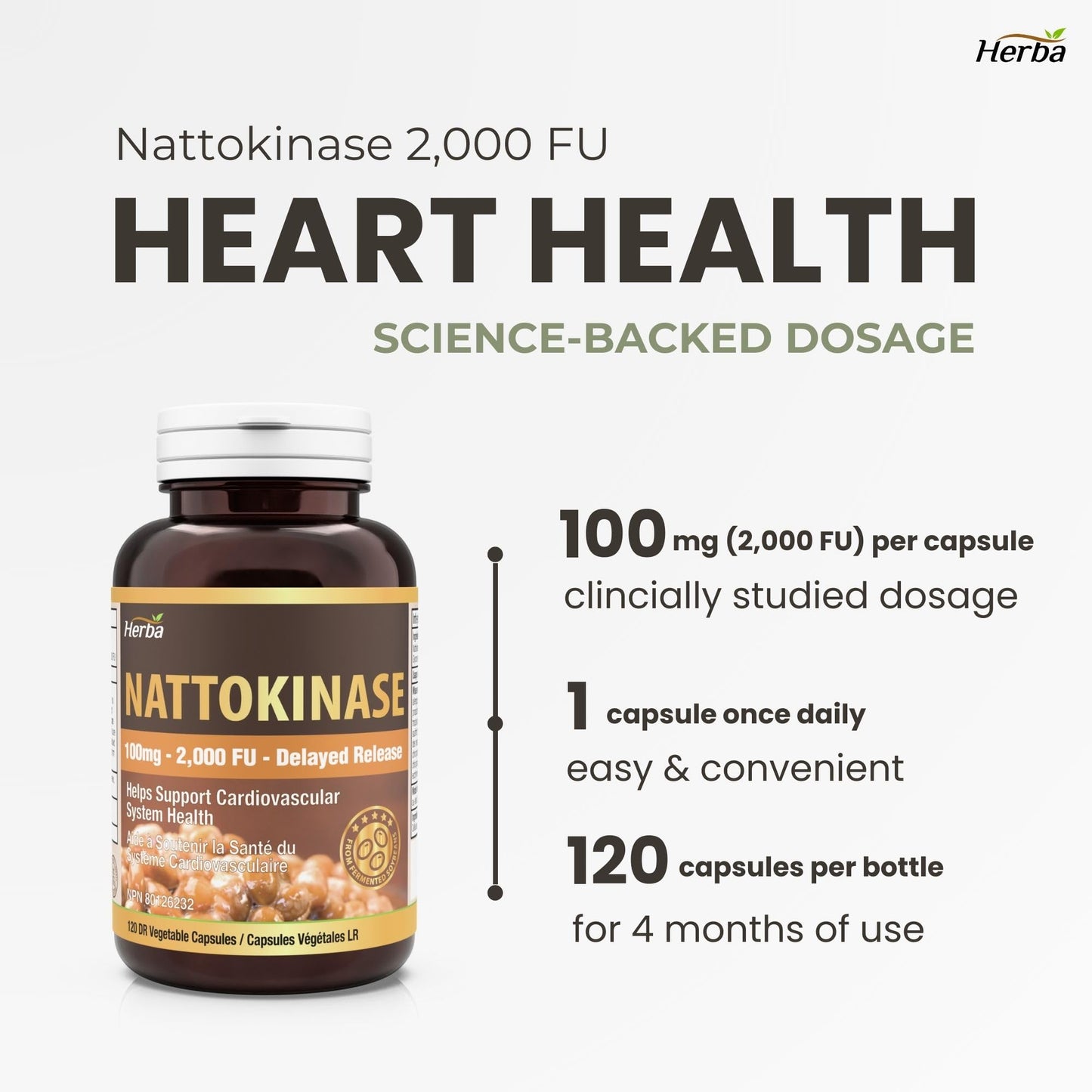 Herba Nattokinase Supplement 2000 FU – 100mg, 120 Delayed Release Capsules | Helps to Support Heart Health | Made in Canada - Available at All In One Marketplace Canada