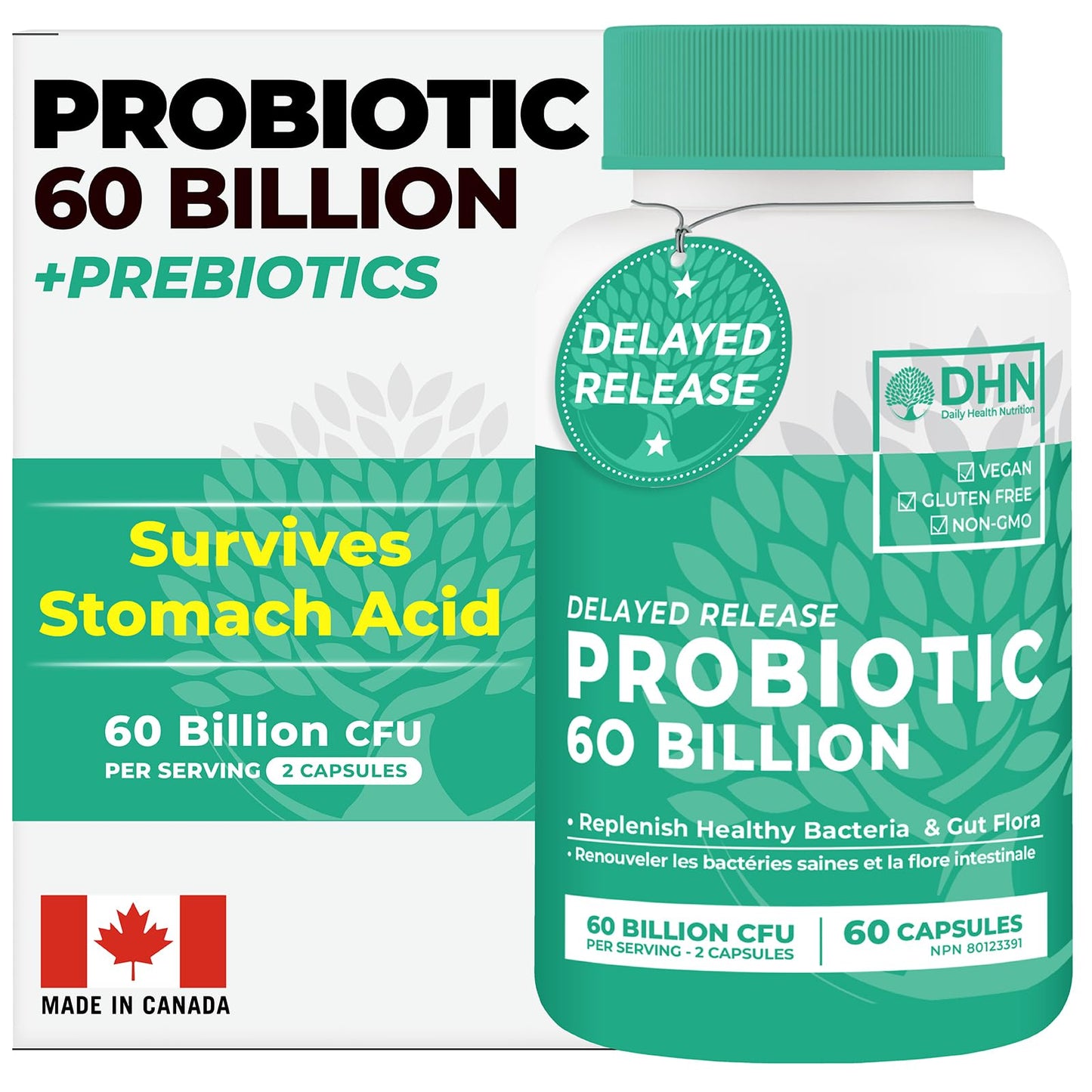 Probiotics Women & Men - 60 Billion CFU Probiotic + Prebiotics | Delayed Release Capsules Survive Stomach Acid for Max Potency | Digestive & Immune Support | Bloating & Gas Relief | Shelf Stable Lactobacillus Strains | Canadian Made, 3rd Party Tested - Available at All In One Marketplace Canada