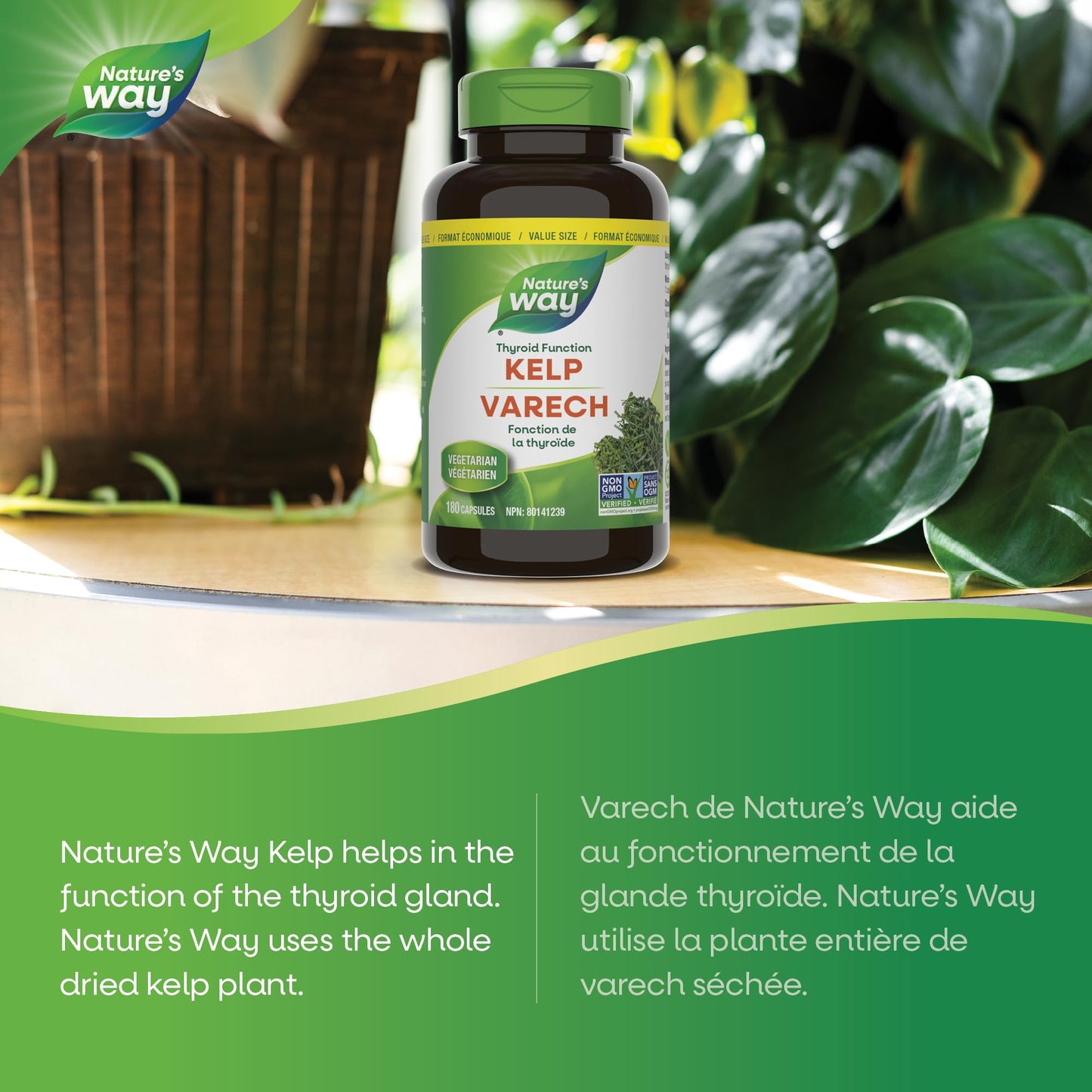 Nature’s Way Kelp - Iodine Supplement for Thyroid Support from Kelp - Non-GMO - 180 Vegetarian Capsules, Value Size Nature's Way
