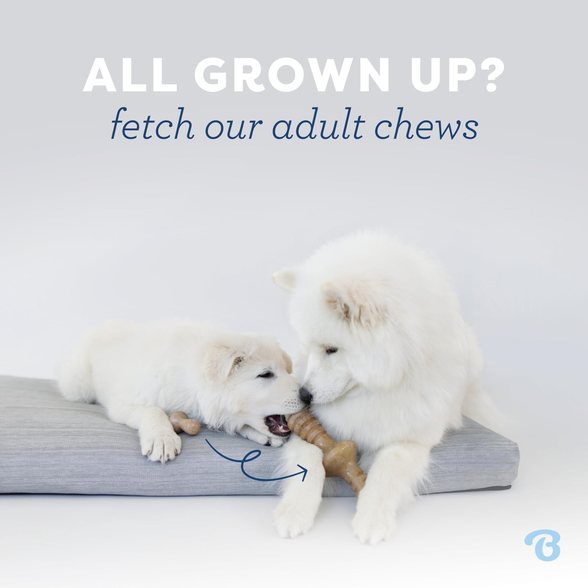 Benebone Puppy 2-Pack Maplestick/Zaggler Dog Chew Toys, Dog Bones, Tiny Benebone