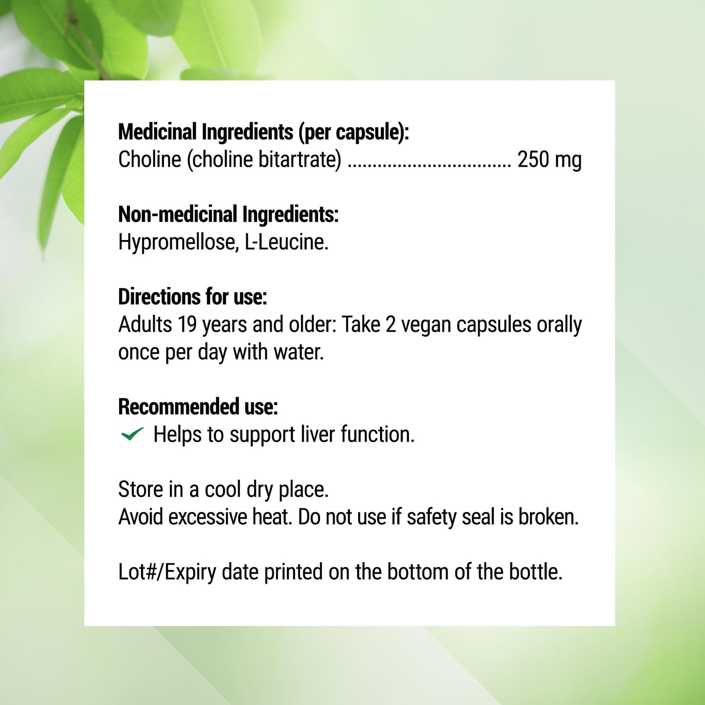 Nested Naturals Choline Bitartrate 500mg Per 2 Capsules | High Potency Choline Supplements | Supports Cognitive & Liver Function | 100% Vegan & Non-GMO Choline | 90 Vegan Capsules - Available at All In One Marketplace Canada
