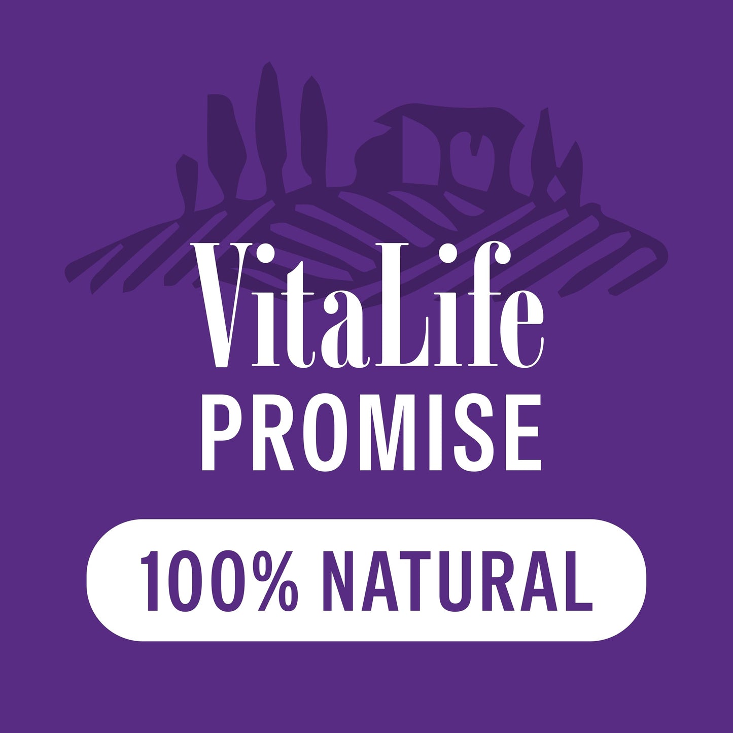 VitaLife 750 g Sweet Potato & Duck Twists, All Natural Dog Treats