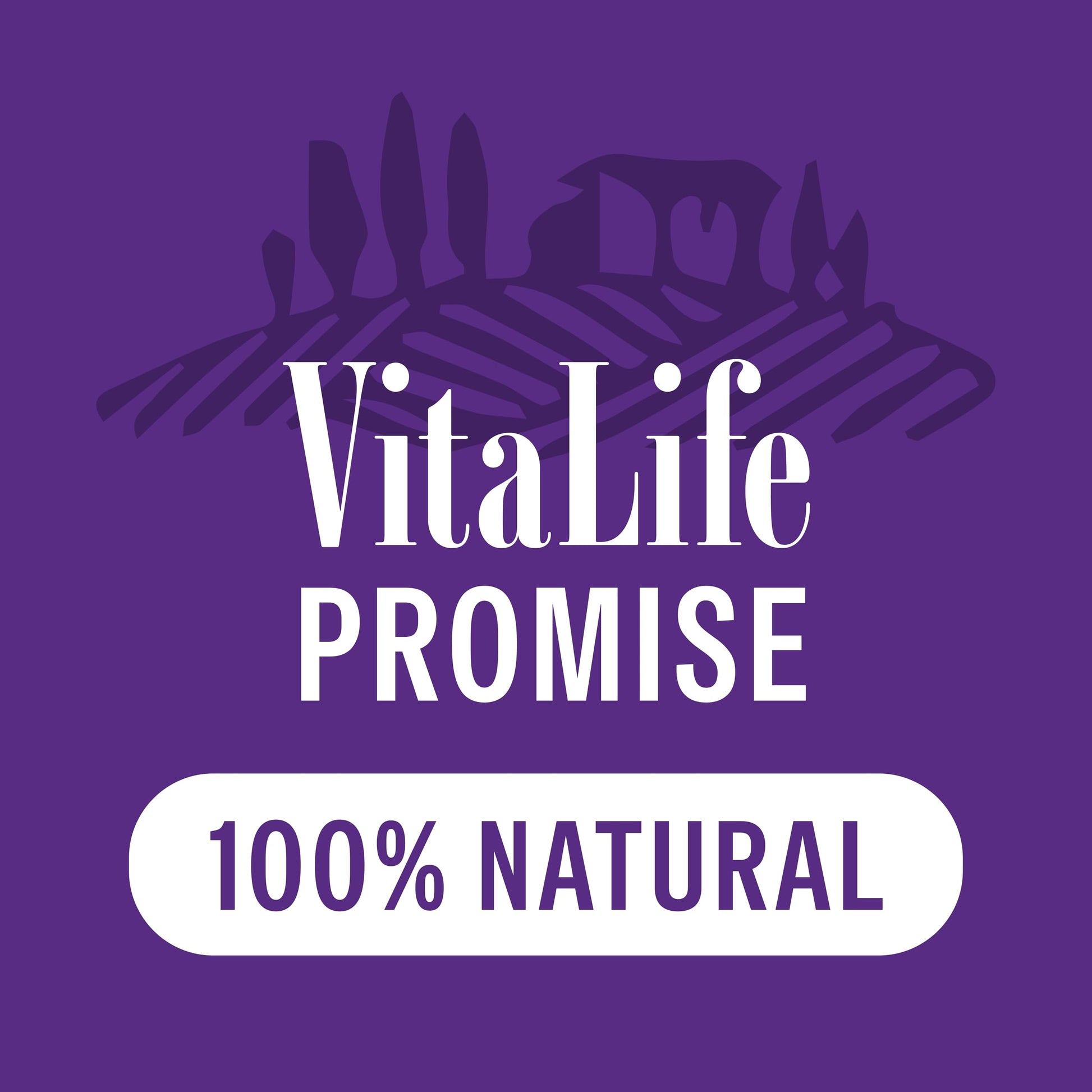 VitaLife 750 g Sweet Potato & Duck Twists, All Natural Dog Treats