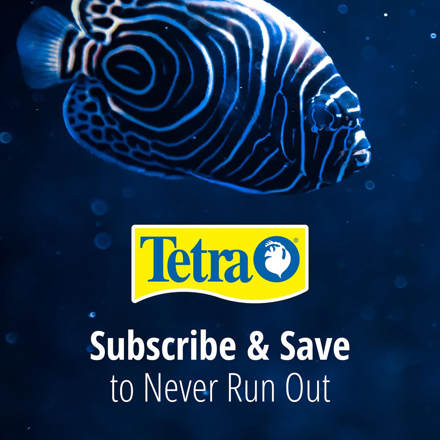 Tetra Aquarium Filter Cartridge, Bio-Bag Large, 12 pack for Whisper Tetra