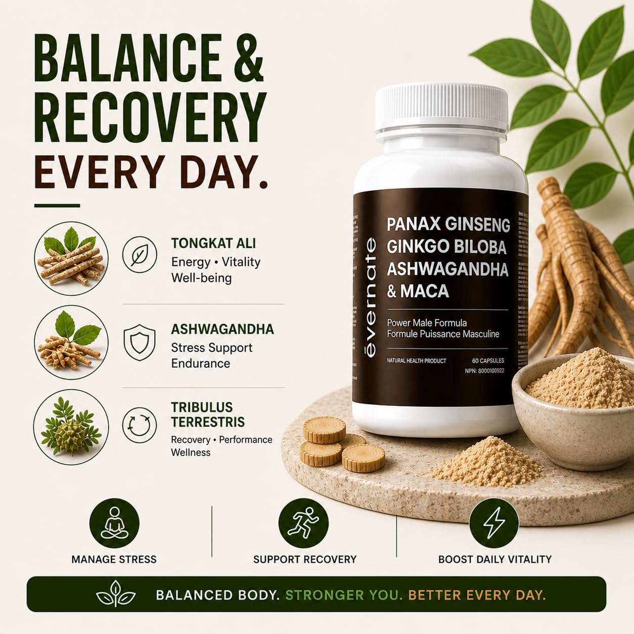 ONE Maca, Ginkgo Biloba, Panax Ginseng, Tribulus, Tongkat Ali, L-Arginine & Ashwagandha – Energy, Stamina, Endurance & Vitality Support – Made in Canada - Available at All In One Marketplace Canada