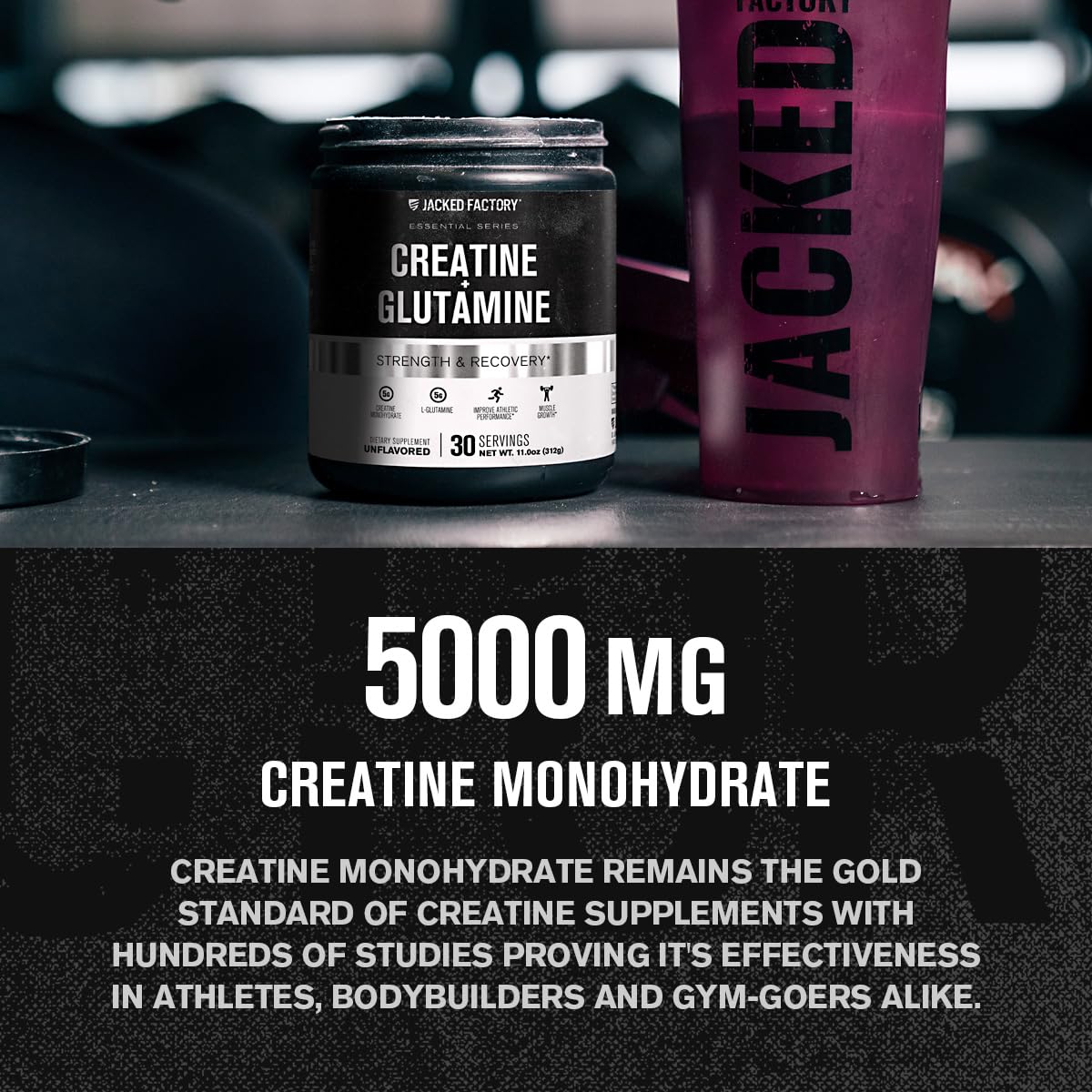 Creatine + Glutamine - Canadian-Owned Supplement with L-Glutamine - 30 Servings