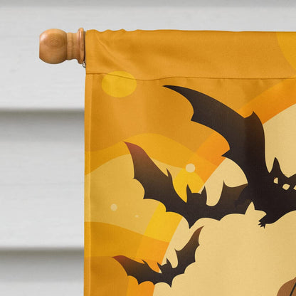 Caroline's Treasures BB4289CHF Halloween Borzoi Canvas House Size Flag, Large, Multicolor