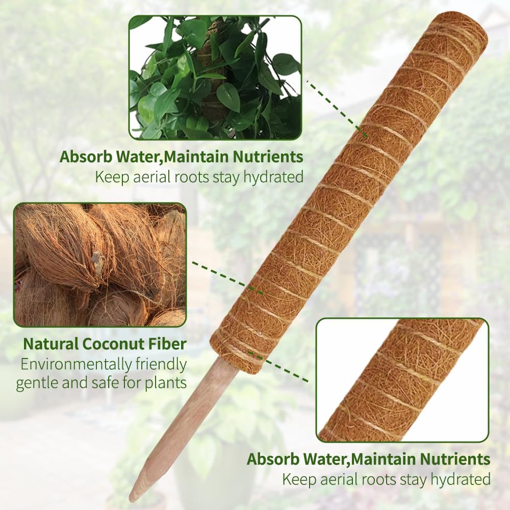 Moss Pole Plant Support Monstera - 5 Pack Coco Coir Moss Stick Plants Climber Support Indoor Monstera Stake for Climbing Plants Live House Potted, Vine, Pothos, Philodendron to Grow Upwards - Available at All In One Marketplace Canada