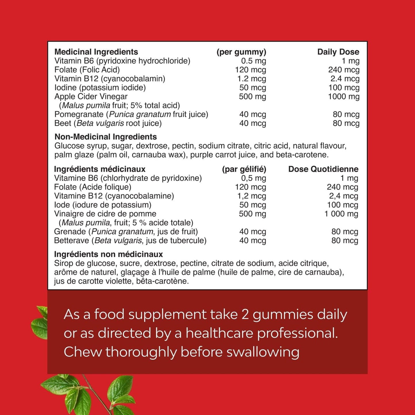 Apple Cider Vinegar Gummies with Mother - Supports Appetite Control - ACV Gummies for Detox & Cleanse - Gut Health & Bloating - Metabolism & Energy Support - ACV with Mother - B12 & B6 Vitamin - 60 Ct - Available at All In One Marketplace Canada