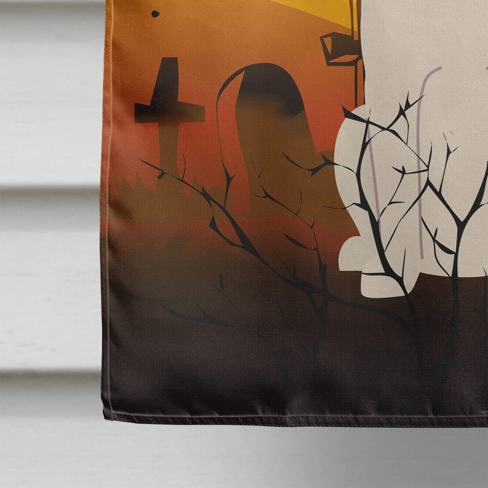 Drapeau de maison Caroline's Treasures BB4301CHF Halloween Saint-Bernard en toile, grande taille, multicolore