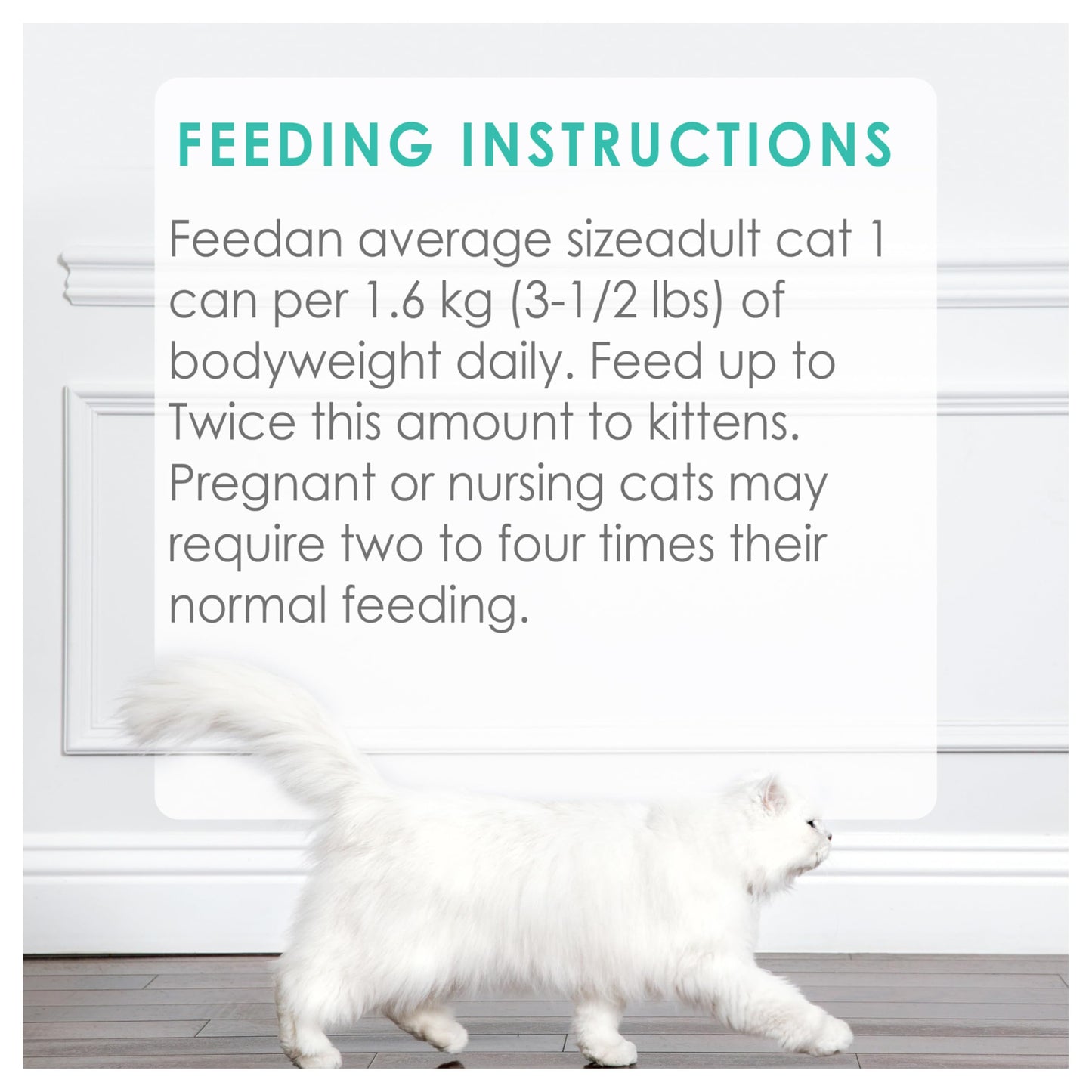 Fancy Feast Pâté Wet Cat Food, Ocean Whitefish & Tuna Feast 85g (24 Pack) Fancy Feast