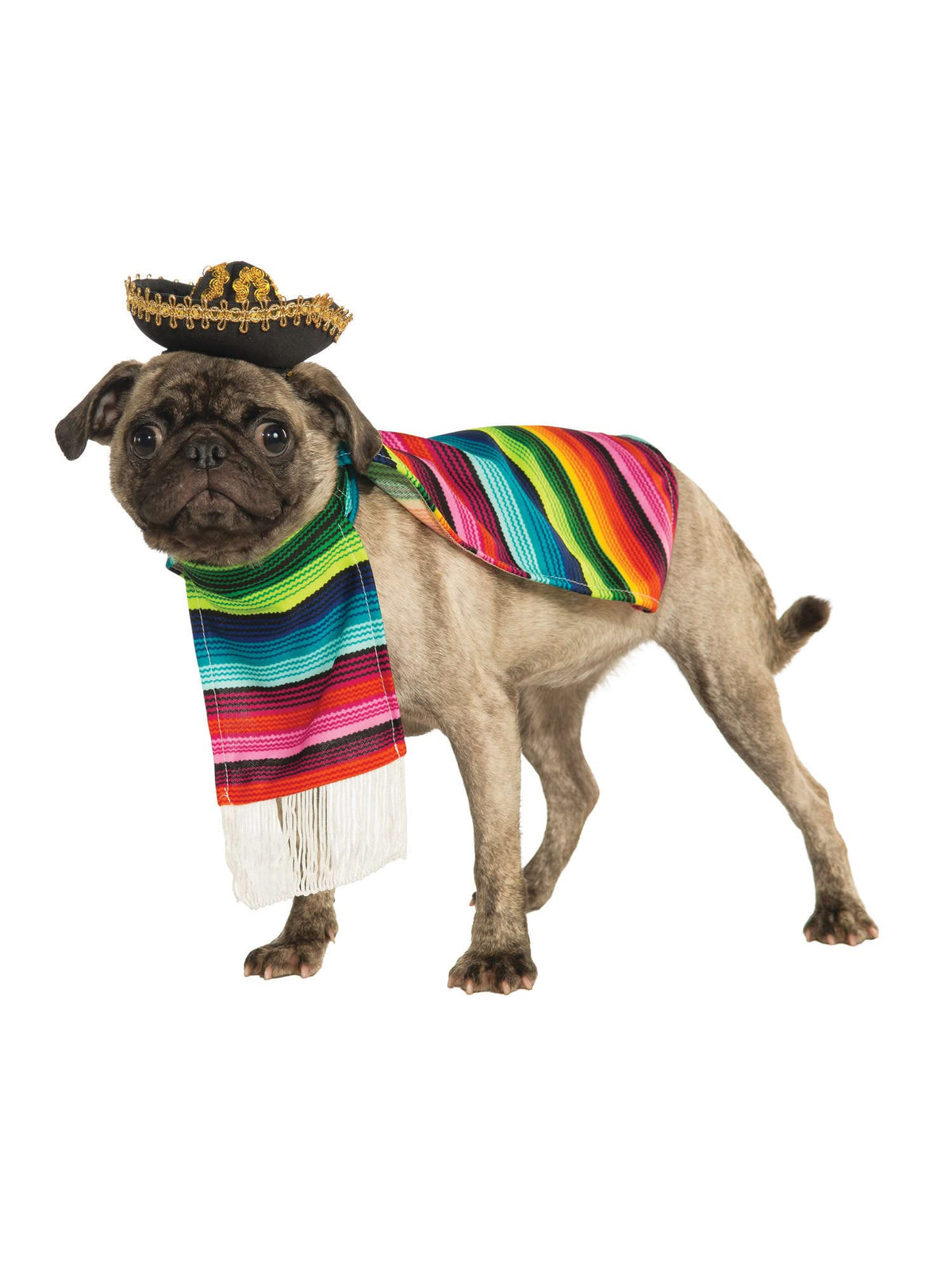 Rubies Costume Co Halloween Classics Collection Pet Costume, Medium, Mexican Serape
