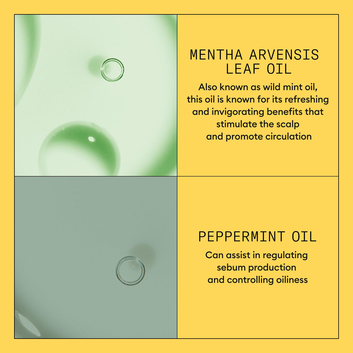 Nioxin System 1 Scalp & Hair Conditioner |Natural Hair with Light Thinning