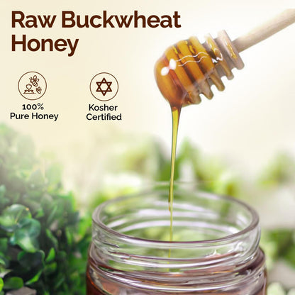 ONEROOT Canadian Raw Buckwheat Honey | Northern Ontario Harvest | Unpasteurized & Pure - Rich Antioxidant Content Exceeds Manuka | Certified Kosher (500g)