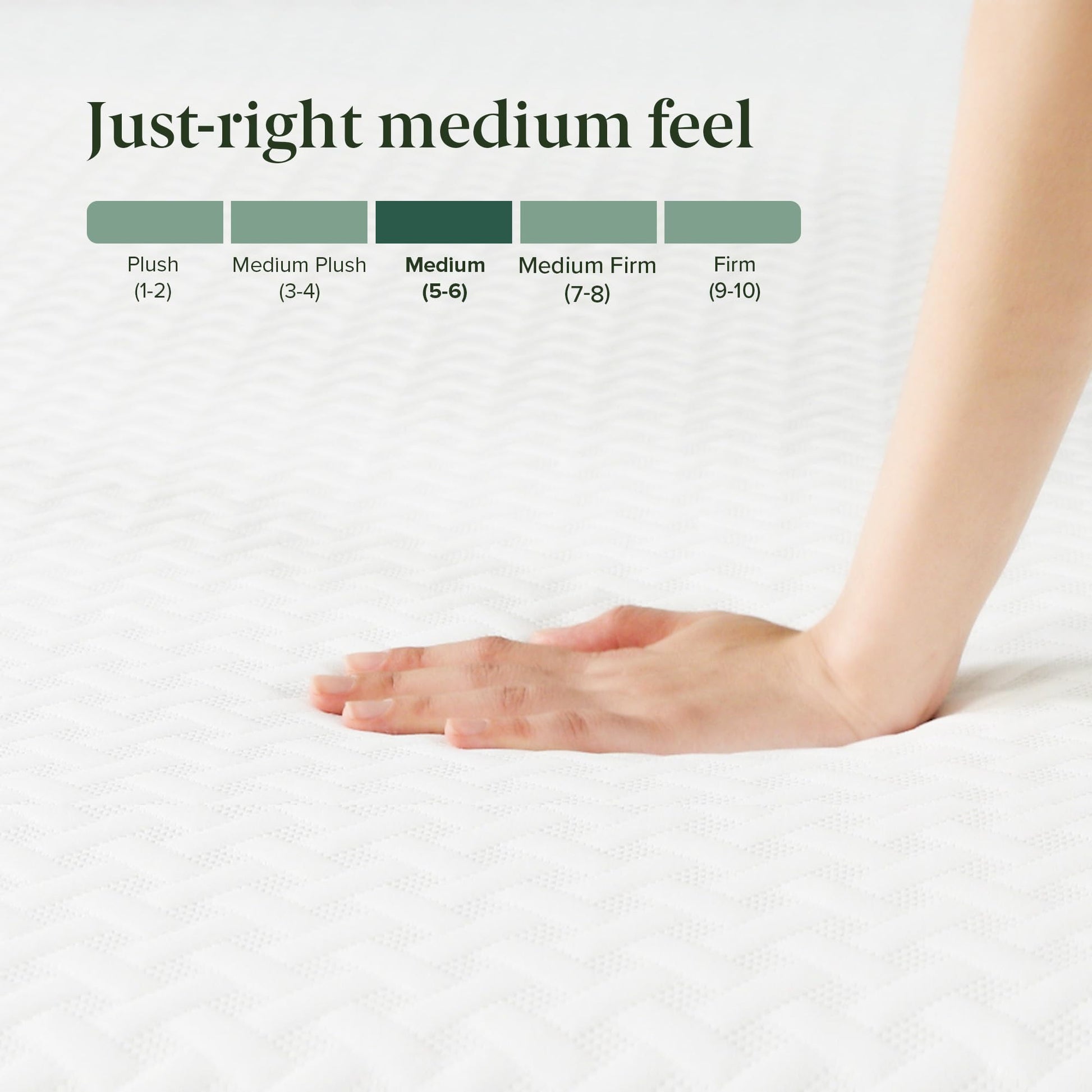 Zinus Full Mattress - 8 Inch Green Tea Essential Memory Foam Mattress, Affordable Mattress, Pressure Relief, CertiPUR-US Certified Foam, Mattress in a Box, 10-Year Warranty, Full Size Zinus