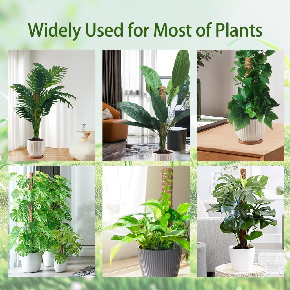 Moss Pole Plant Support Monstera - 5 Pack Coco Coir Moss Stick Plants Climber Support Indoor Monstera Stake for Climbing Plants Live House Potted, Vine, Pothos, Philodendron to Grow Upwards - Available at All In One Marketplace Canada