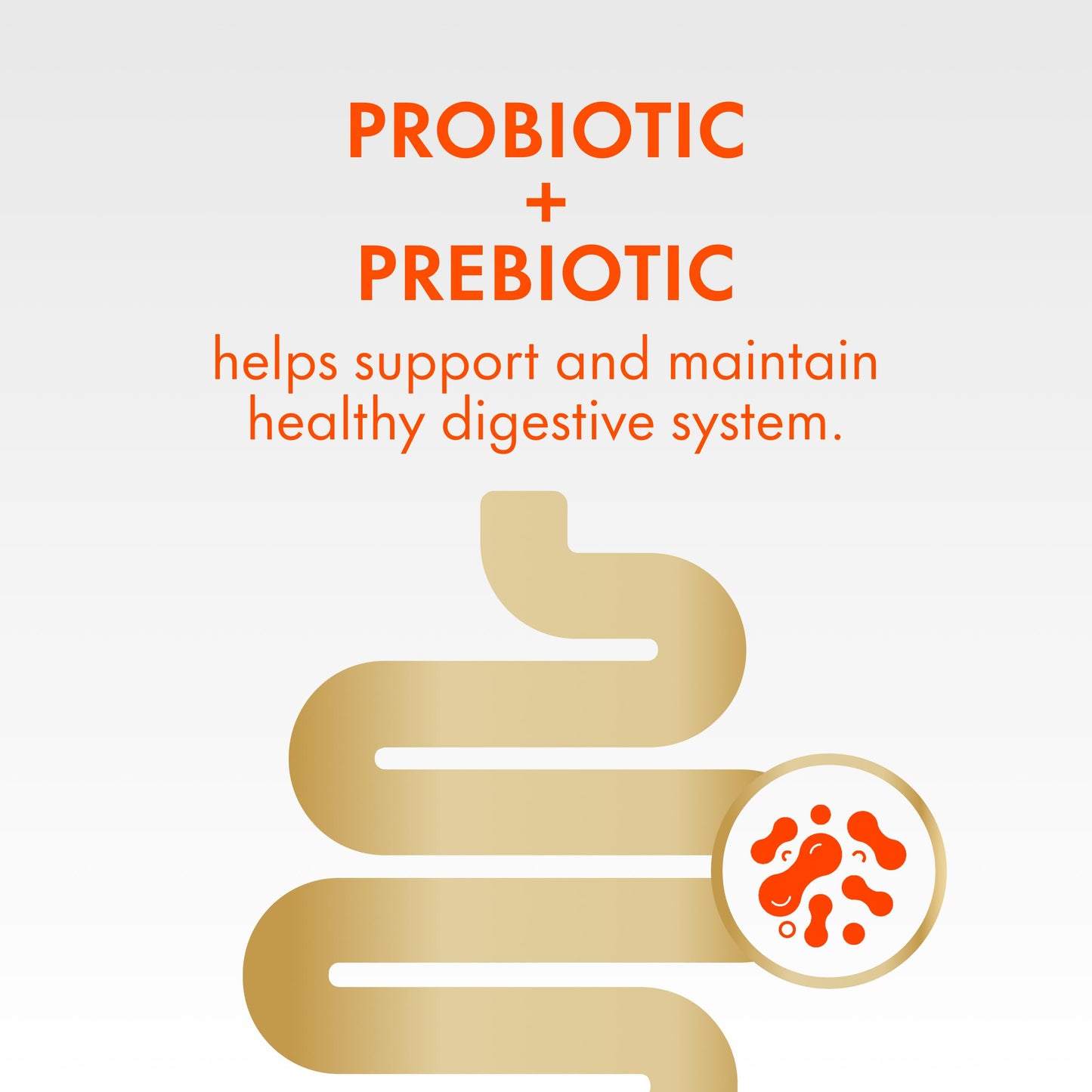 Align DUALBIOTIC PREbiotic + PRObiotic Gummies for Women & Men, Helps Support a Healthy Digestive System, Made With Naturally Fruit Flavours, 60 Count - Available at All In One Marketplace Canada