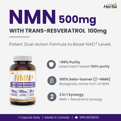 Herba NMN Supplement with Resveratrol – 500mg + 100mg | 100% Purity β-NMN & >99% Resveratrol | NAD Supplement Canada Made | NAD+ Precursor | 30 Capsules - Available at All In One Marketplace Canada