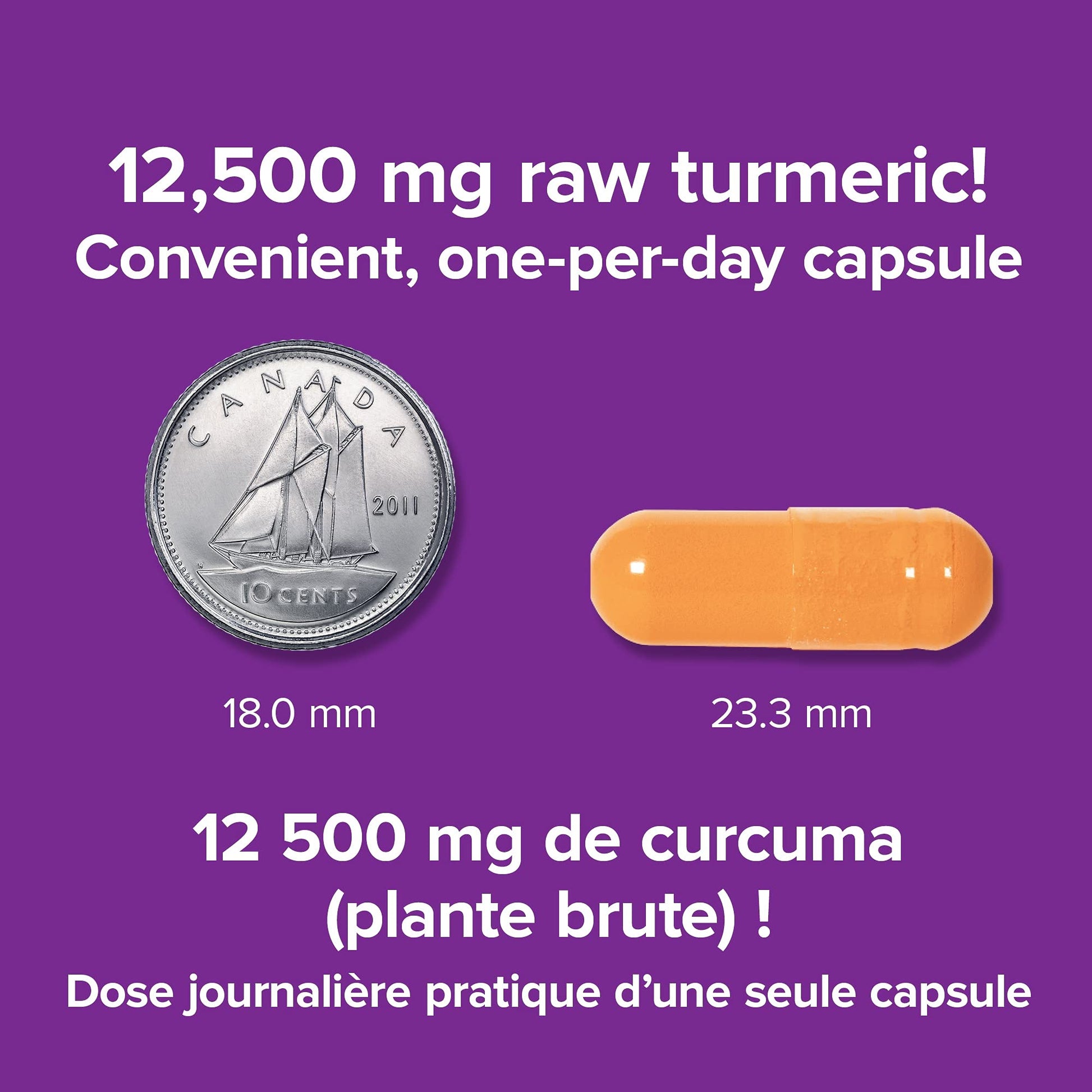 Webber Naturals Turmeric Curcumin Extra Strength, 95% Curcuminoids, 60 Capsules, Anti-Inflammatory Support - Available at All In One Marketplace Canada