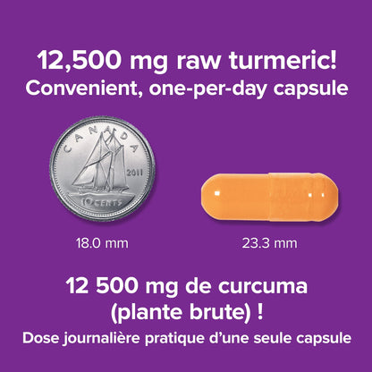 Webber Naturals Turmeric Curcumin Extra Strength, 95% Curcuminoids, 60 Capsules, Anti-Inflammatory Support - Available at All In One Marketplace Canada