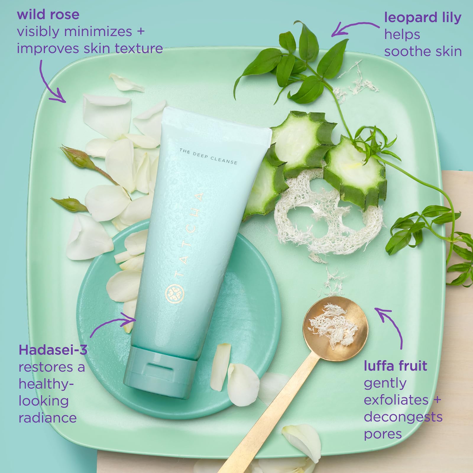 TATCHA The Deep Cleanse | Deep, Gentle Exfoliating Cleanser - Lifts Dirt & Unclogs Pores for Oily & Combo Skin | 150 ml, 5.0 fl. oz. - Available at All In One Marketplace Canada