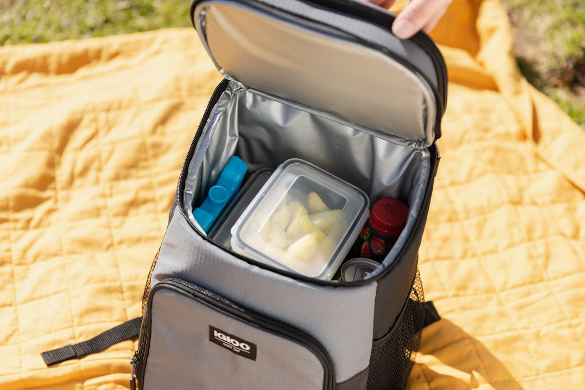 Igloo Maxcold Ice Block,2 Pieces, Ice Block