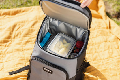 Igloo Maxcold Ice Block,2 Pieces, Ice Block