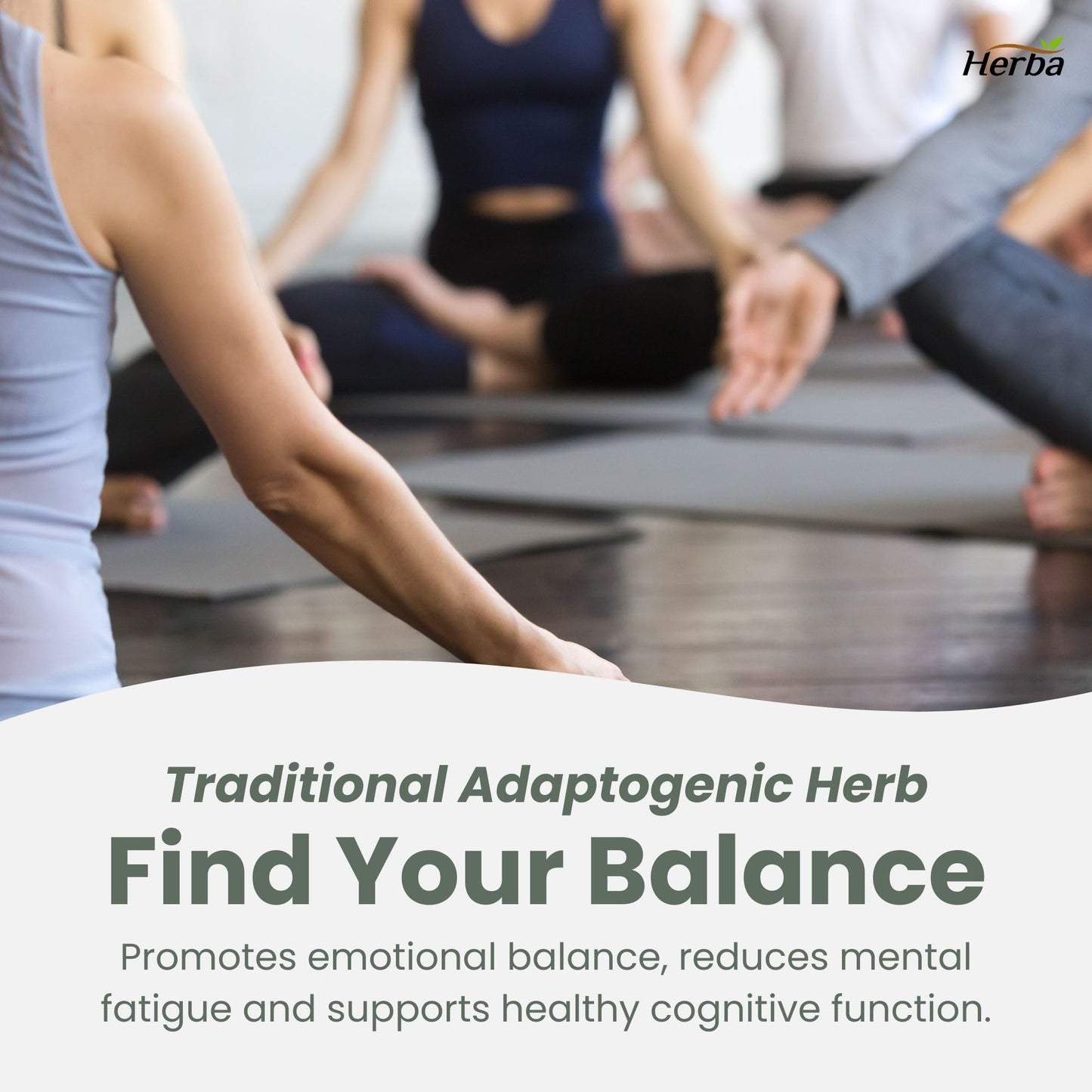 Herba Rhodiola Rosea Supplement 200mg - 90 Capsules | 6:1 Extract | Rhodiola Supplement with Min 3% Rosavins and 1% Salidrosides | Help Relieve Symptoms of Stress | Made in Canada - Available at All In One Marketplace Canada