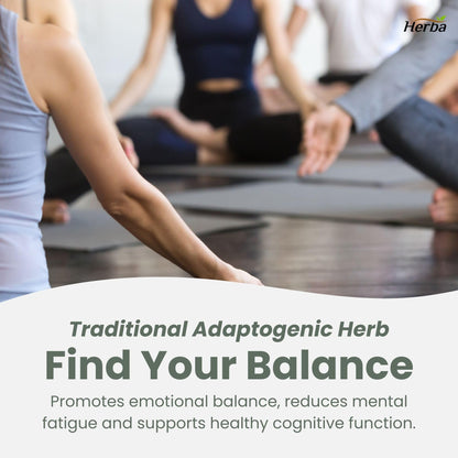 Herba Rhodiola Rosea Supplement 200mg - 90 Capsules | 6:1 Extract | Rhodiola Supplement with Min 3% Rosavins and 1% Salidrosides | Help Relieve Symptoms of Stress | Made in Canada - Available at All In One Marketplace Canada