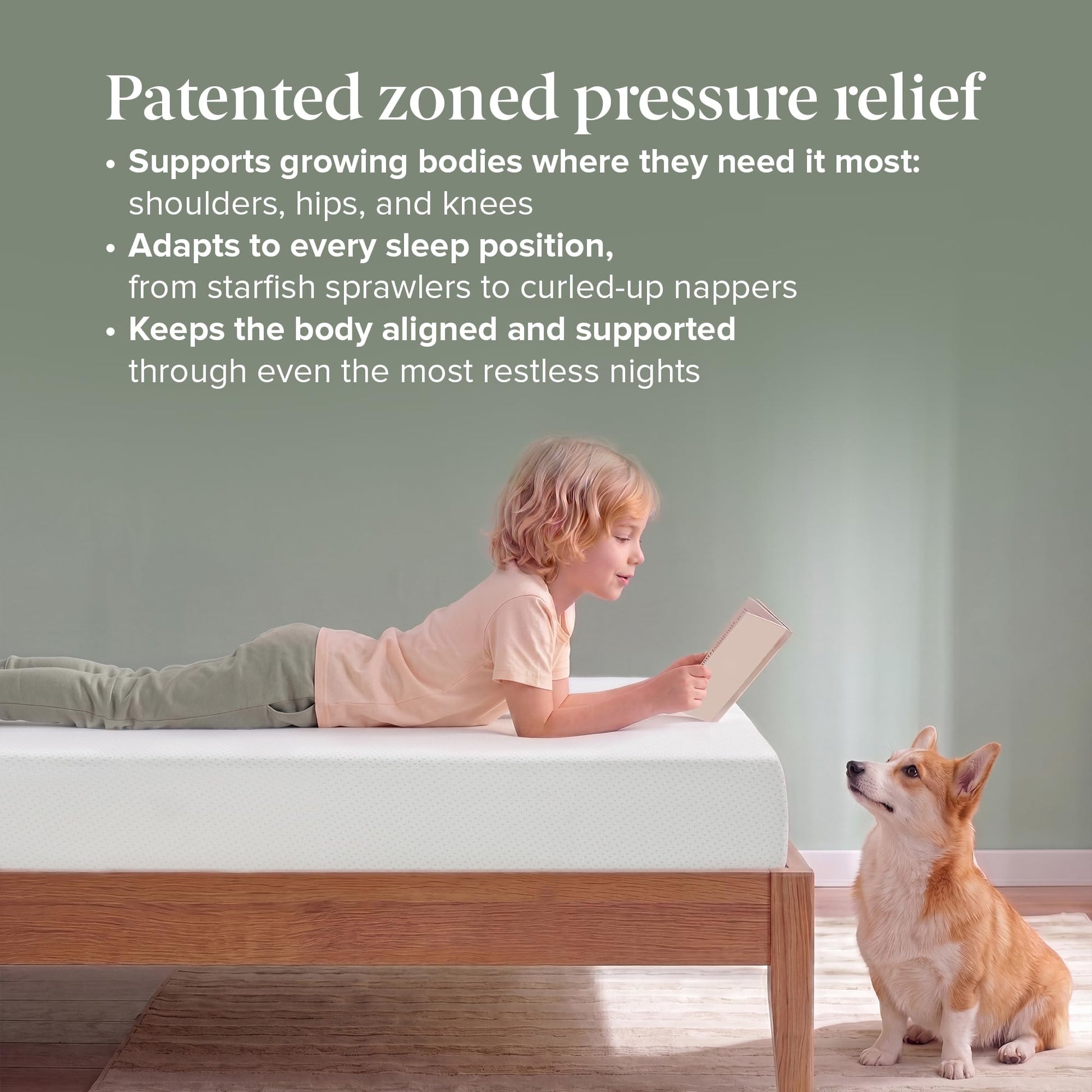 Zinus Twin Mattress - 6 Inch Green Tea Infused Memory Foam Mattress, Mattress in a Box, CertiPUR-US Certified Foam with Pressure Relief, 10-Year Warranty, Twin Size Zinus