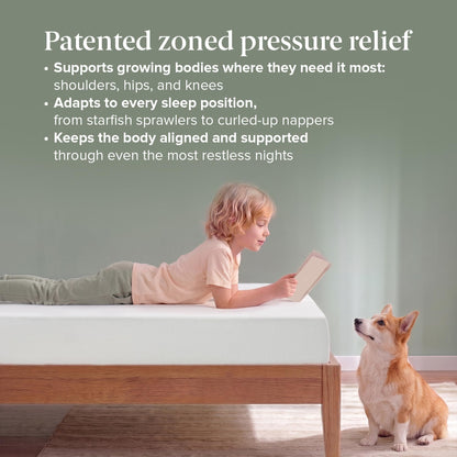 Zinus Twin Mattress - 6 Inch Green Tea Infused Memory Foam Mattress, Mattress in a Box, CertiPUR-US Certified Foam with Pressure Relief, 10-Year Warranty, Twin Size Zinus