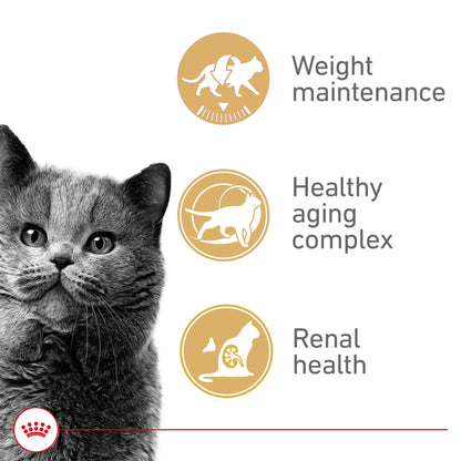 Royal Canin Appetite Control Spayed/Neutered 12+ Dry Adult Cat Food, 7 lb Bag ROYAL CANIN