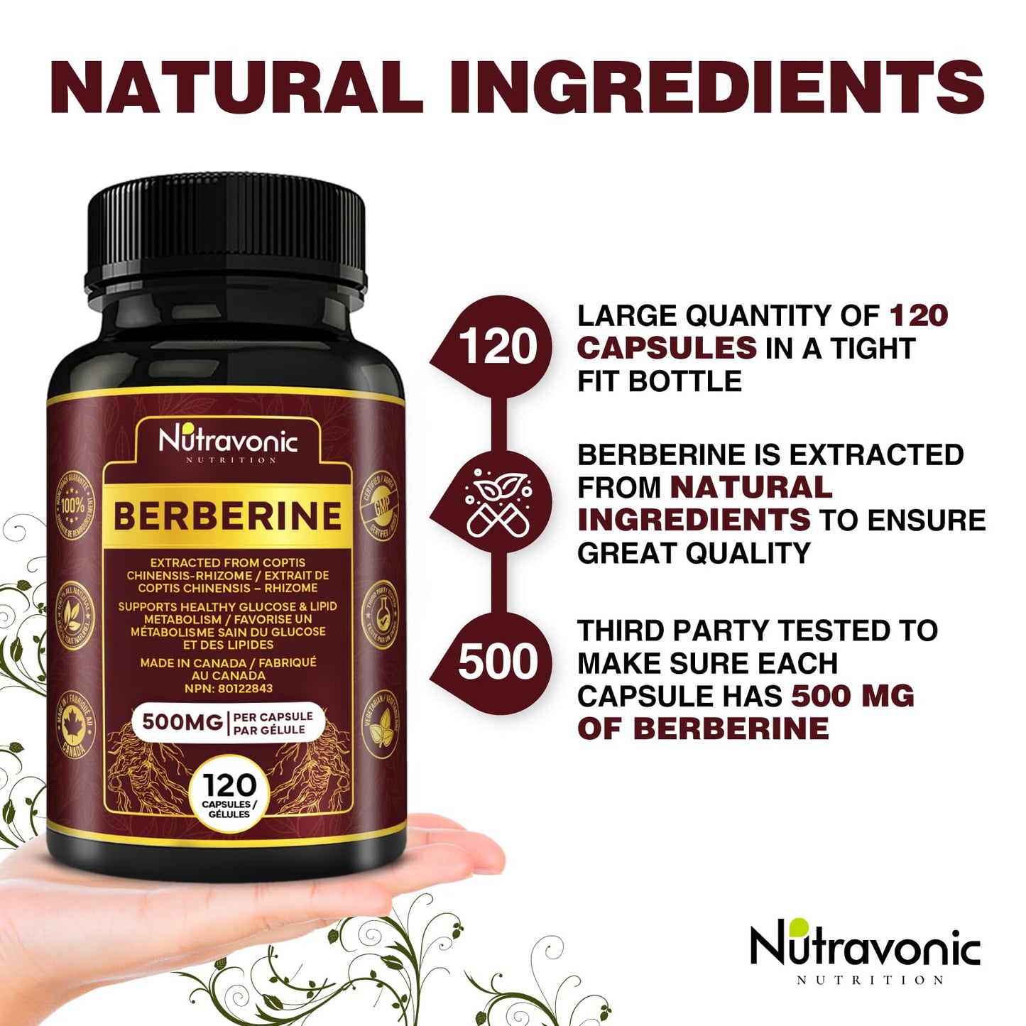 Nutravonic Berberine Supplements 1000mg Per Serving, 500mg Per Capsule | Made in Canada I Supports Healthy Glucose & Lipid Metabolism | Non-GMO, Vegan, Gluten-free, 120 Easy-to-Swallow Capsules - Available at All In One Marketplace Canada