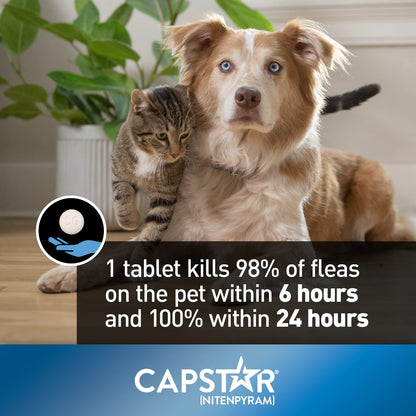 Capstar Oral Flea Treatment for Small Dogs and Cats weighing 1 to 11 kg - 6 pack 🍁 All In One Marketplace Canada