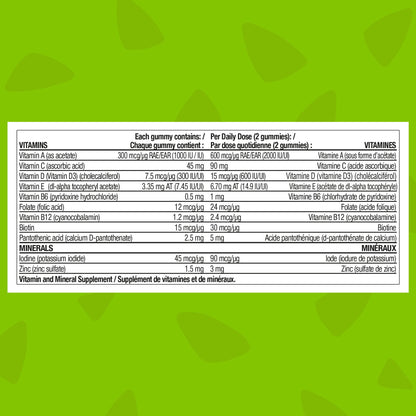 FLINTSTONES Kids Multivitamin Gummies Plus Immunity Support- Multivitamins for Kids, Kids Gummy With Zinc and Extra Vitamin C‡, Free of Artificial Sweeteners, Free of Aspartame, Free of Synthetic FD&C Dyes, 180 Gummies - Available at All In One Marketplace Canada
