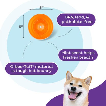 Outward Hound Snoop Dog Toy – Treat‑Dispenser Puzzle Ball, Interactive Slow Feeder, Medium to Large Dogs, Bouncy & Mint-Infused, Orange, 5" Outward Hound