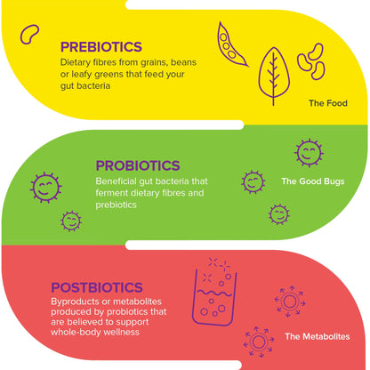 Webber Naturals Probiotic with Prebiotic, 10 Billion Active Cells, 15 Probiotic Strains, 90 Capsules, For Digestive Health, Vegan - Available at All In One Marketplace Canada