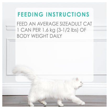 Fancy Feast Wet Cat Food, Pate Beef Flavour - 85 g Can (24 Pack) Fancy Feast