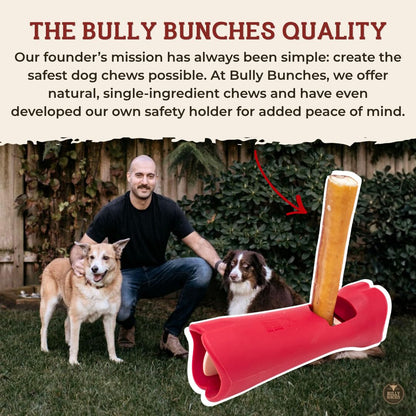 Bully Bunches Premium (6" Standard - 10 Pack) Odour-Free Bully Sticks - Small Dogs & Puppies - Consistently Sized, Long Lasting Chew Bones - All Natural & Single Ingredient, Beef Dog Treat, No Rawhide