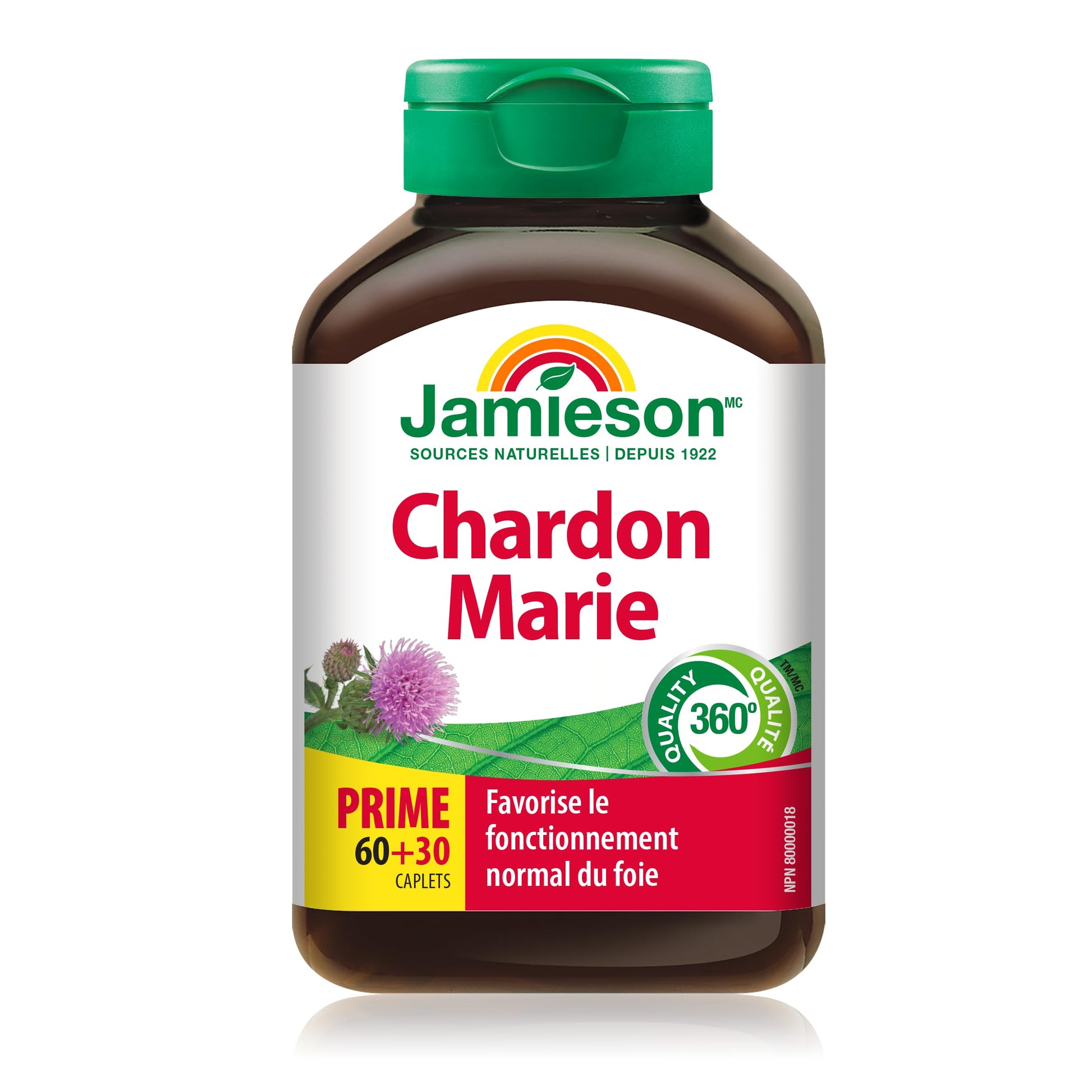 Jamieson Milk Thistle 150 mg, Supports Liver Function, Helps Relieve Digestive Disturbances. Non-GMO, Gluten-Free, 90 Vegetarian Caplets, Proudly Canadian - Available at All In One Marketplace Canada
