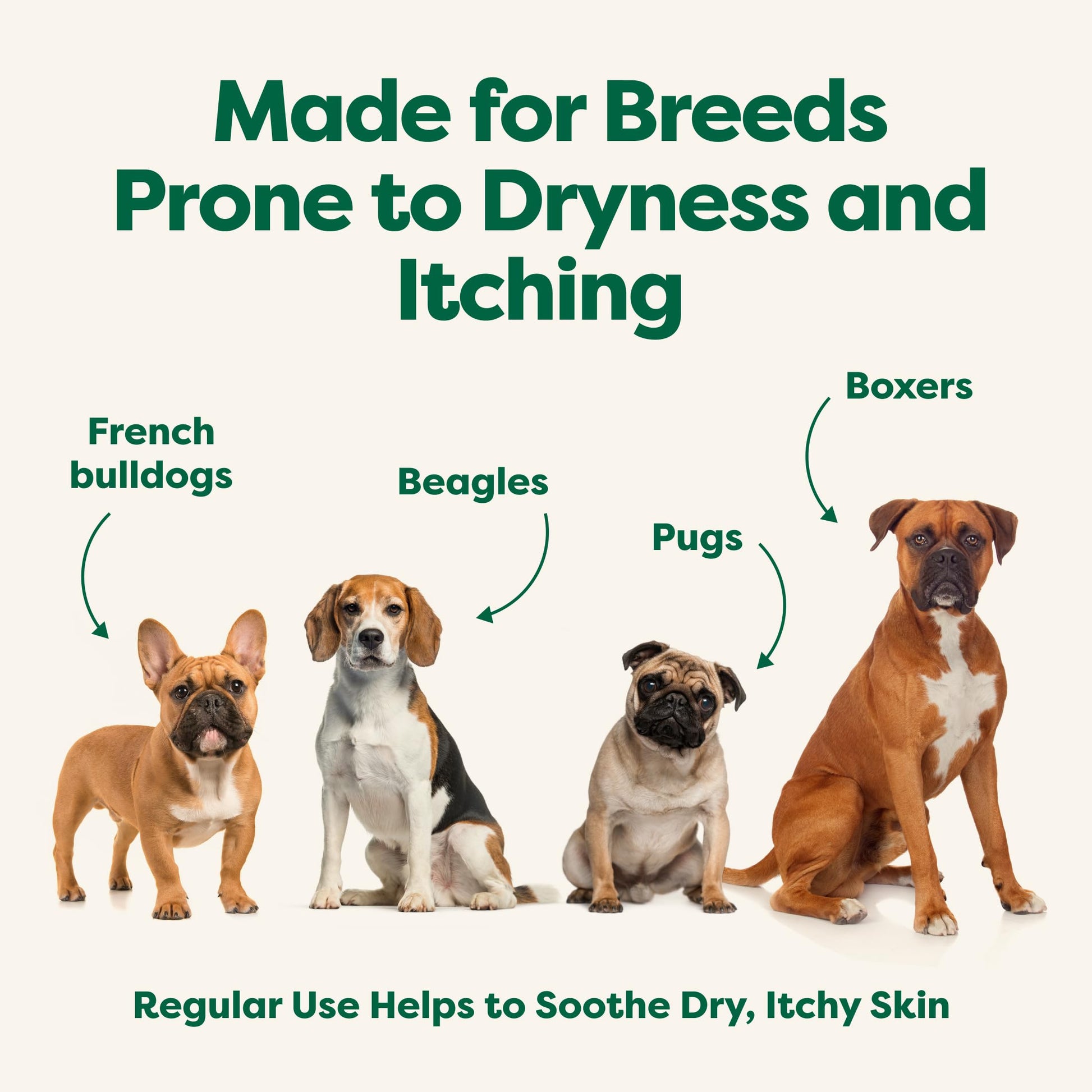 Earth Rated (A Canadian Company), 3-in-1 Soothing Dog Shampoo and Conditioner, Deodorizing Oatmeal Shampoos for Dogs and Puppies, Great for Smelly Pets, White Tea and Basil Scent, 473 ml