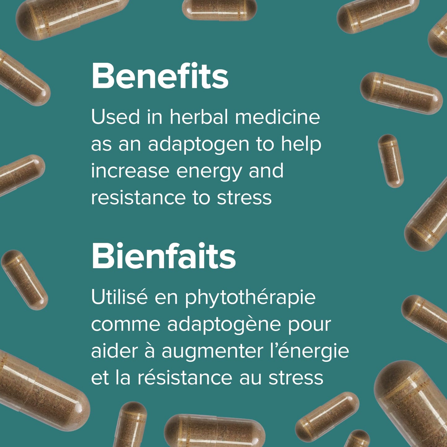 Webber Naturals Ashwagandha 6000 mg, 120 Capsules, Adaptogen to Help Reduce Stress & Increase Energy, Vegan - Available at All In One Marketplace Canada