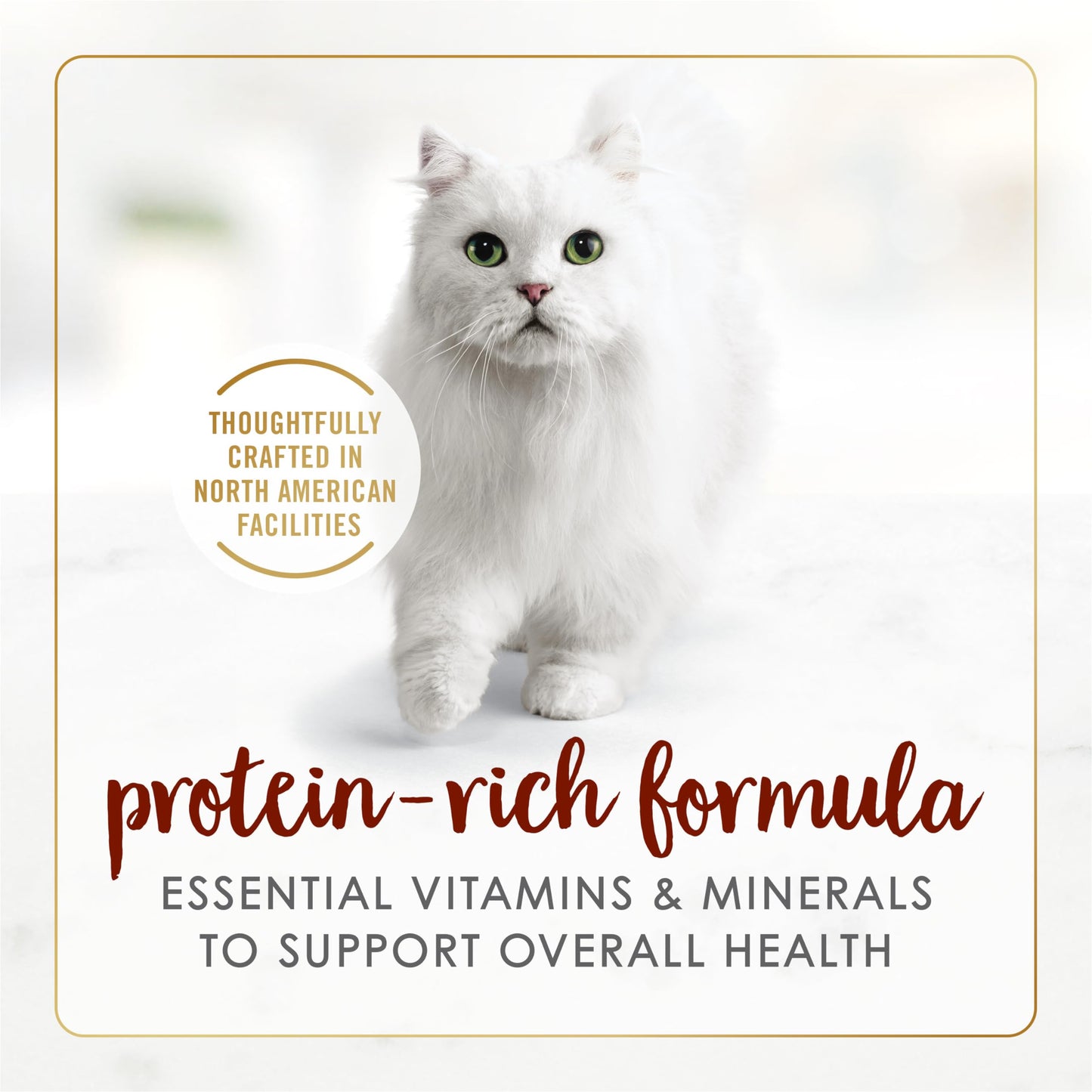 Fancy Feast Wet Cat Food, Pate Beef Flavour - 85 g Can (24 Pack) Fancy Feast
