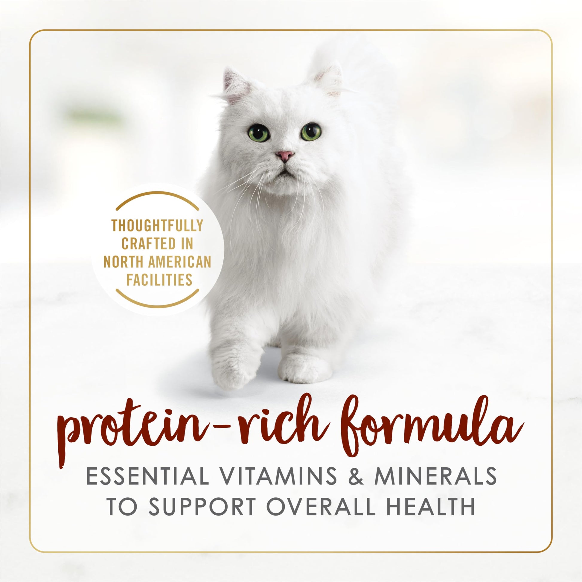 Fancy Feast Wet Cat Food, Pate Beef Flavour - 85 g Can (24 Pack) Fancy Feast