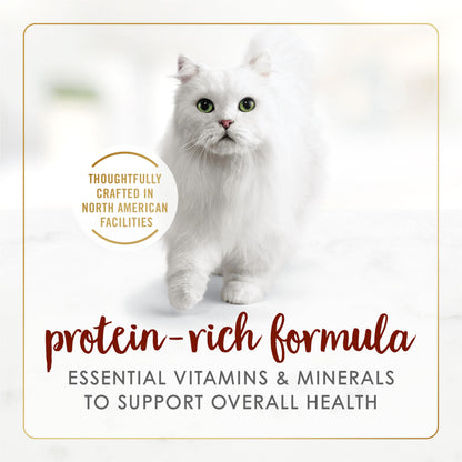 Fancy Feast Wet Cat Food, Pate Beef Flavour - 85 g Can (24 Pack) Fancy Feast