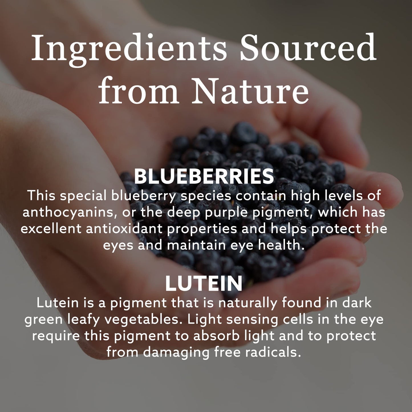 New Nordic Blue Berry Strong 120 Coated Tablets, 60-Day Supply, Vegan Eye Support Supplement with Bilberry & Lutein for Clear Vision & Macular Health - Available at All In One Marketplace Canada